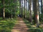  Blick auf die Wanderstrecke 